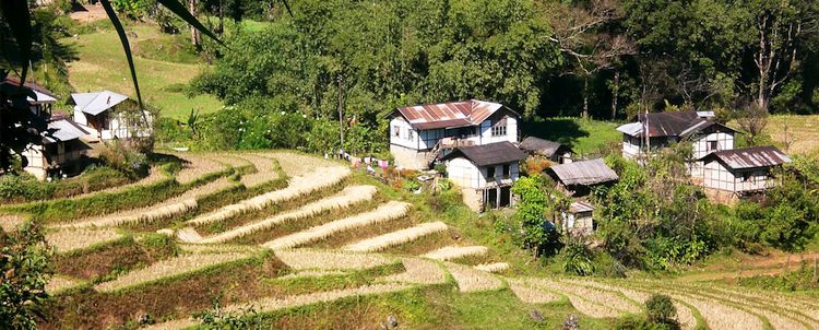 Wandern Sie mit uns über Reisfelder durch Ureinwohnerdörfer in Sikkim