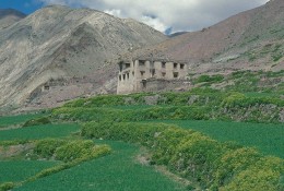 Homestays in Ladakh