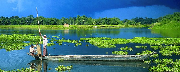 Assam Majuli Insel