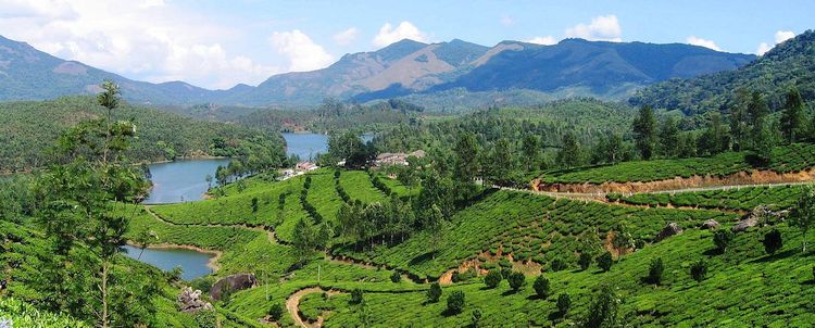 Kerala Teegarten Gebirge