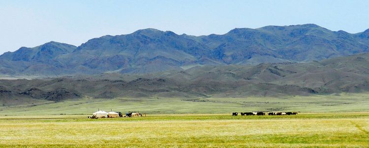Landschaft Wüste Gobi im Sommer