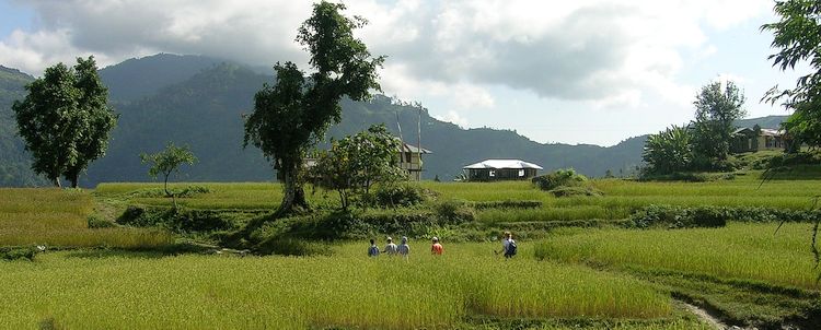 Kalimpong Samthar Reisfelder