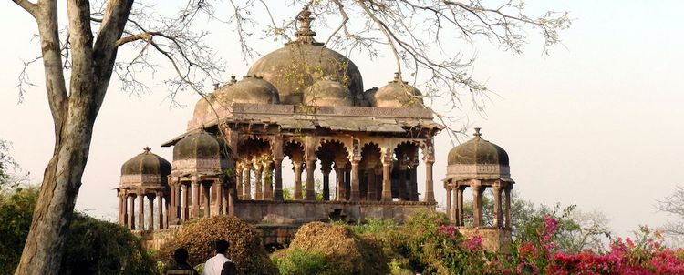 Verbinden Sie Ihre Rajasthan-Reise mit Kultur & Nationalparkbesuchen