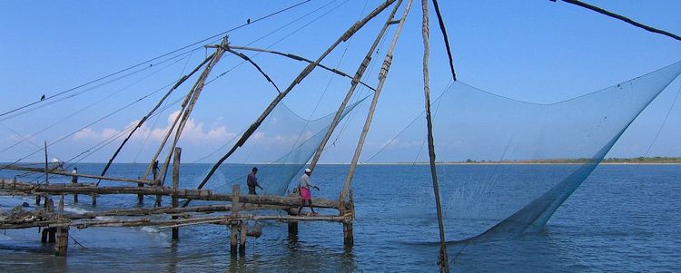 Kerala Chinesische Fischnetze